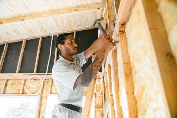 Best Insulation Removal  in Pinehurst, ID